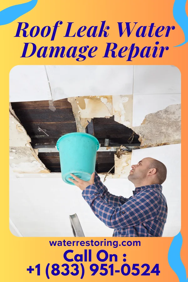 Roof Leak Water Damage Repair in Rhodes, IA