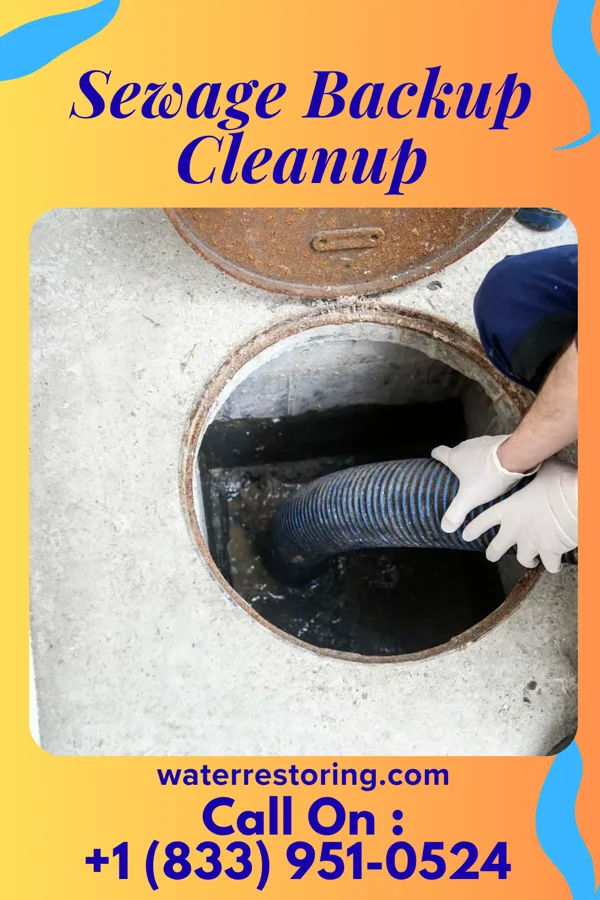 Sewage Backup Cleanup in Rhodes, IA